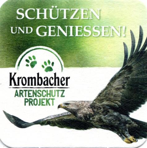 kreuztal si-nw krom arten 1a (quad180-greifvogel)